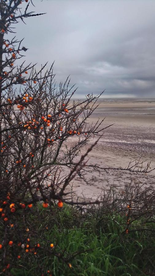 Aux 10 Ponts - Gite Aux Abords Du Fleuve La Somme - La Mer A 30 Min - La Nuit Pour 6 Voyageurs エクステリア 写真